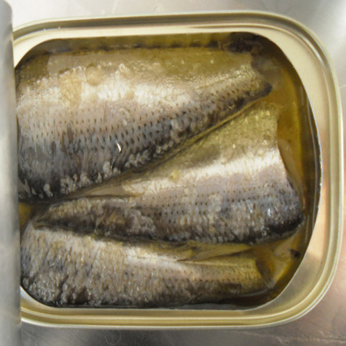 Canned sardine 